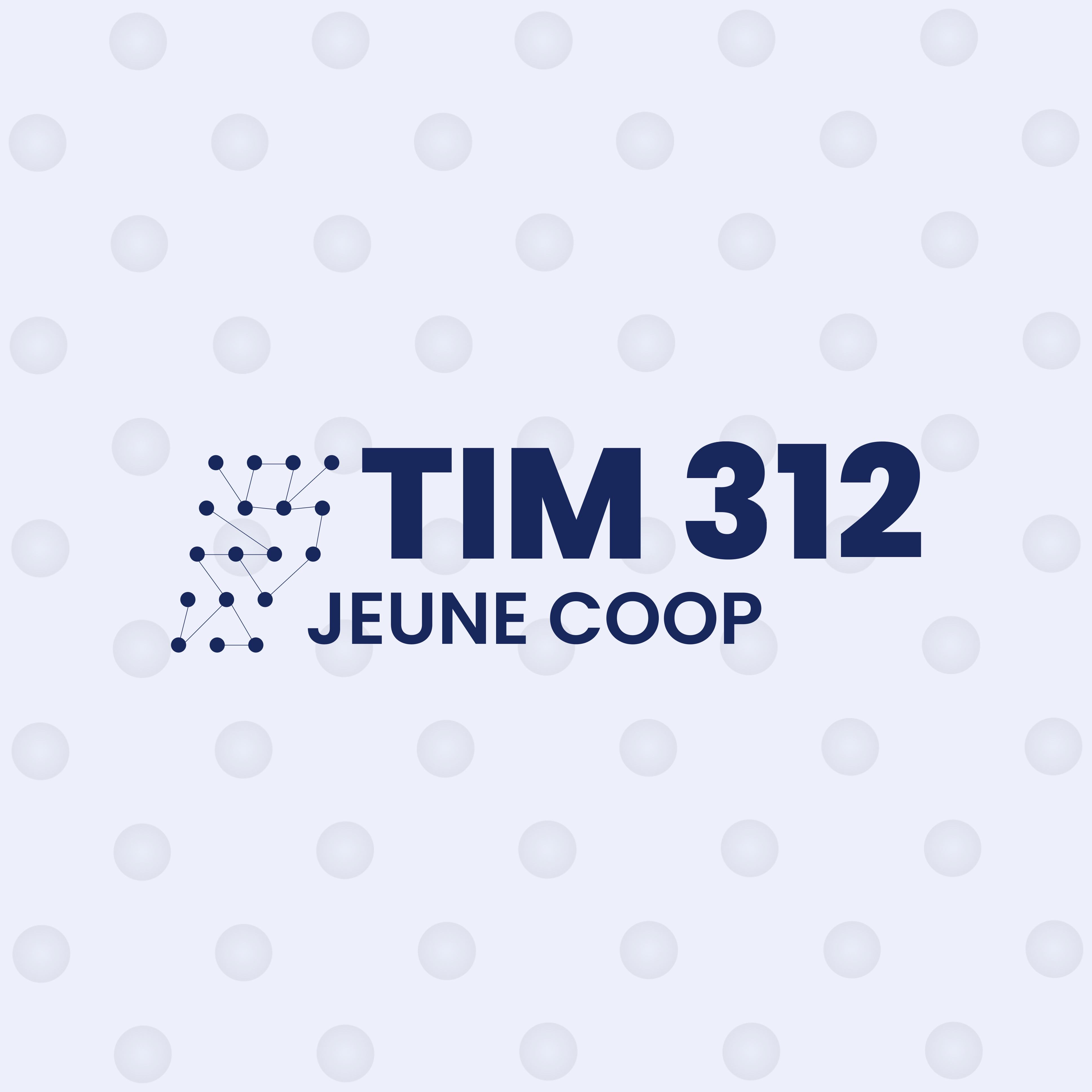 TIM 312